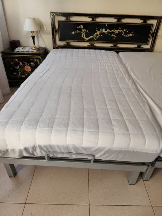 Cama Articulada Dorwin