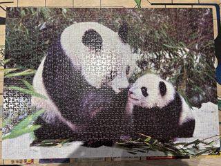 Puzzle Educa Osos Panda 1000 Piezas