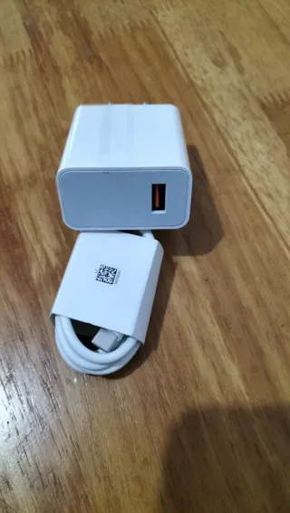 Caricabatterie 67W + Cuffie Bluetooth TWS