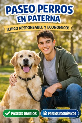 Ofrezco paseos para perros por la zona de paterna