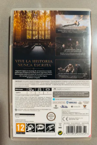 Hogwarts Legacy Nintendo Switch