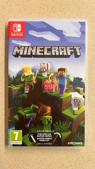 Minecraft Nintendo Switch