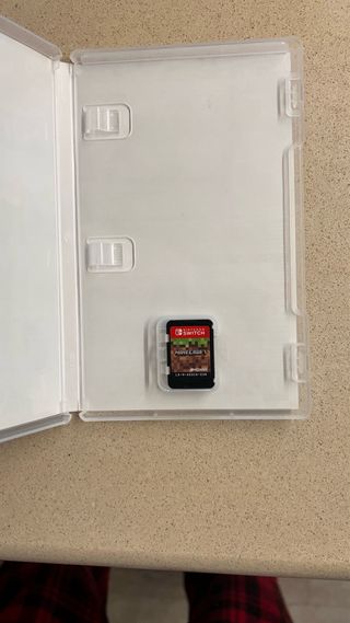 Minecraft Nintendo Switch