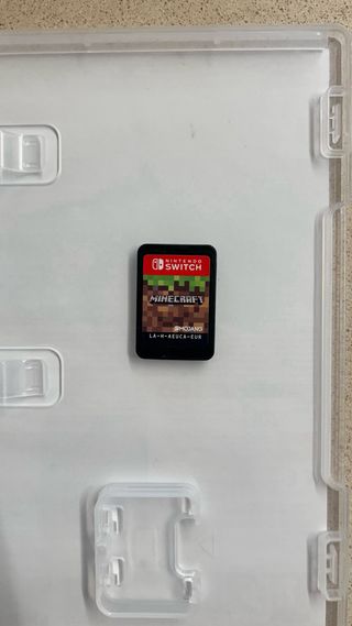 Minecraft Nintendo Switch