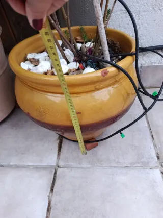 Maceta cerámica esmaltada