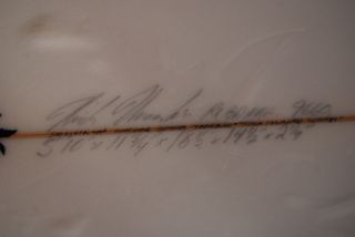 Tabla de surf Semente