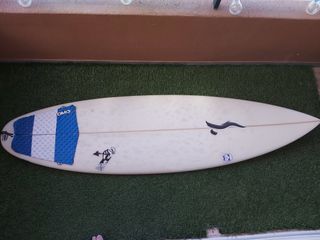 Tabla de surf Semente
