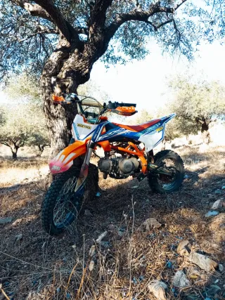 Pit Bike Rebel Master Naranja y Blanca