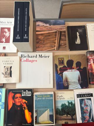 Colección arte y literatura Lou Reed Aub