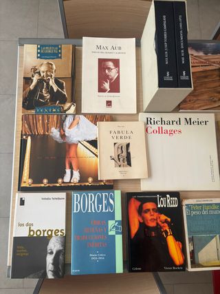 Colección arte y literatura Lou Reed Aub