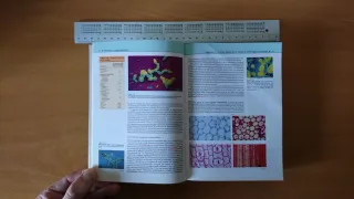 Celula, La (Bolsillo) (Spanish Edition)