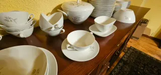 Vajilla Porcelana Bidasoa 60-70 Piezas