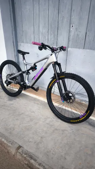 Bicicleta Eléctrica AMflow PL Carbon XL