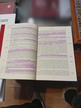 Elementos de Derecho constitucional español