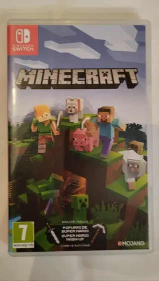 Minecraft Nintendo Switch