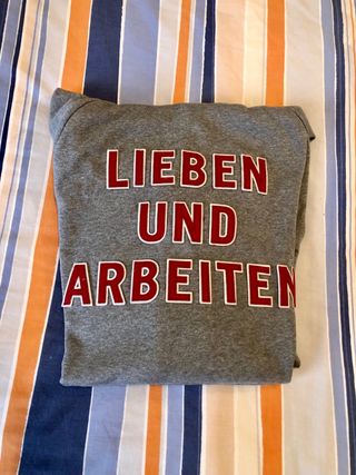 Sudadera David Delfín gris