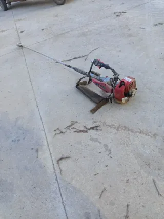 Vibrador de aceitunas