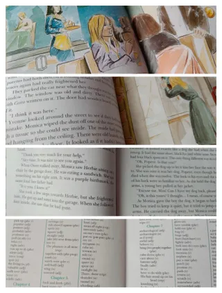 Lote 4 libros inglés