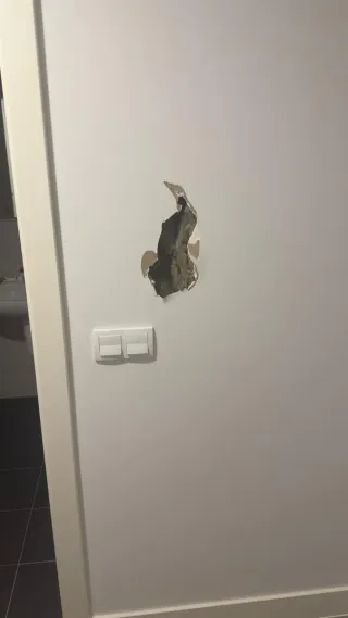 Pintor profesional i yesero