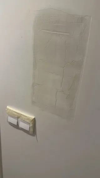 Pintor profesional i yesero