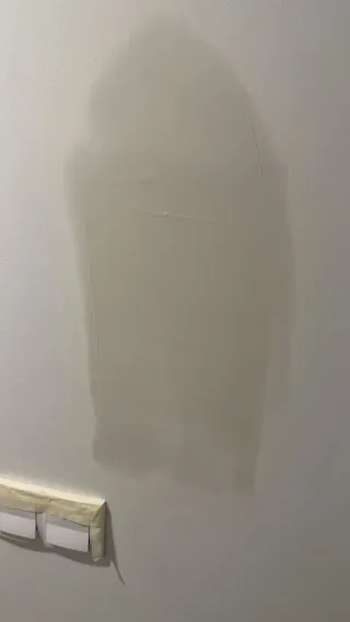 Pintor profesional i yesero