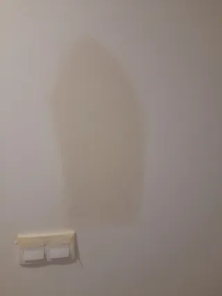 Pintor profesional i yesero