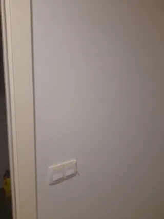 Pintor profesional i yesero