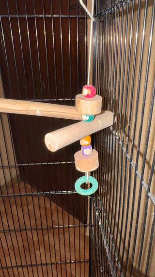 Jaula grande para aves