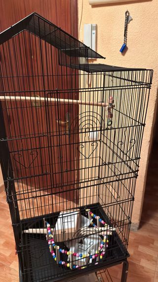 Jaula grande para aves