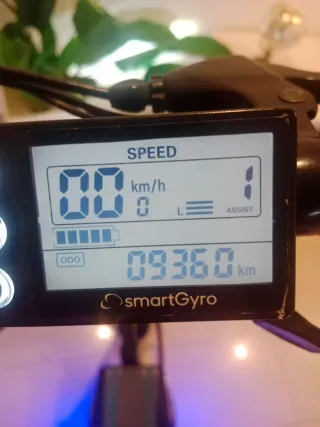 Patinete SmartGyro Speedway Gris/Verde