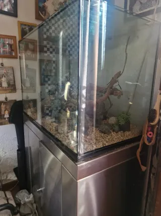 Acuario grande con mueble inox
