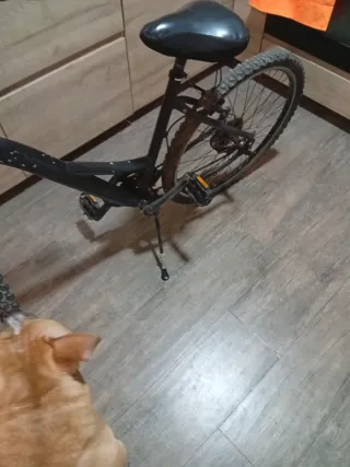 Bicicleta Montaña Negra