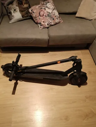 Patinete Eléctrico Xiaomi Pro 2