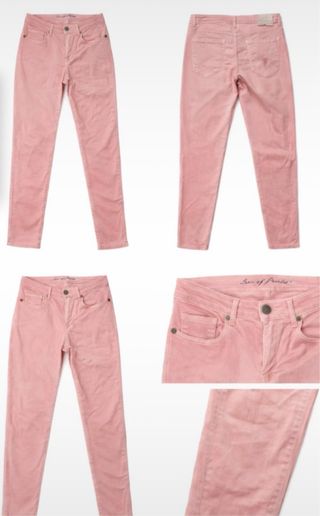 Calças Lion of Porshes