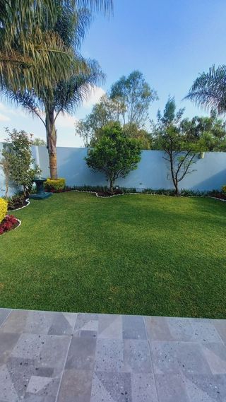 Servicios de jardinería y poda