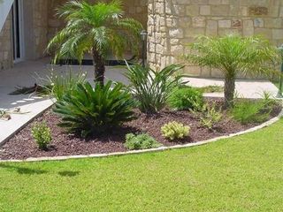 Servicios de jardinería y poda