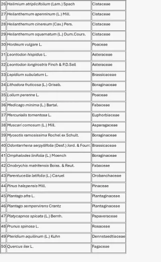 Herbario de grado en biología