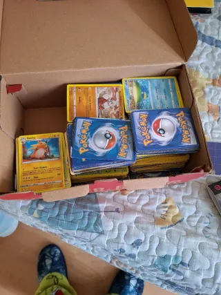Albumes y +300 Cartas Pokémon