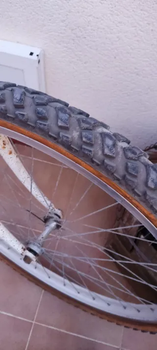 Bicicleta de Montaña SISESPA Blanca