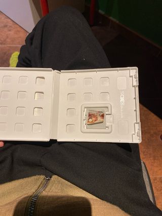 Nintendogs + Cats: Golden Retriever 3DS