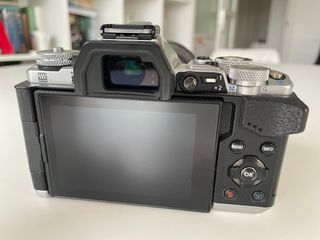 Olympus OM-D E-M5 Mark II + Lumix 100-300