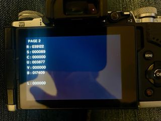 Olympus OM-D E-M5 Mark II + Lumix 100-300