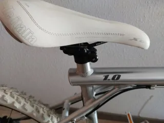 Bicicleta GT 26 Avalanche 1.0 Plata