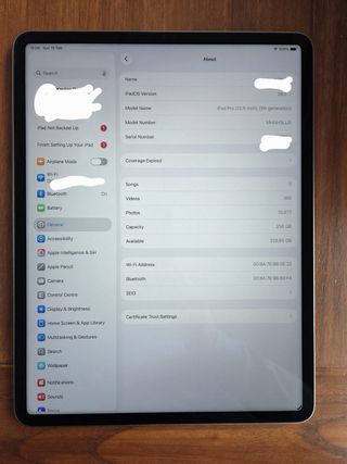 iPad Pro Grigio Siderale