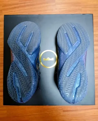 Scarpe Nike LeBron 23 "Out for Redemption"