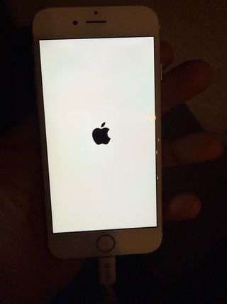 iPhone 6S 64gb dorado