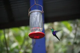 Cámara Canon EOS RP + Objetivo 75-300 mm