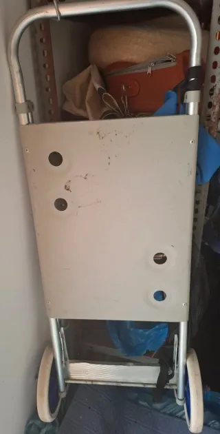 Carro de la playa plegable