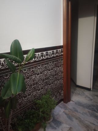 Alquilo habitación 300 euros masluz