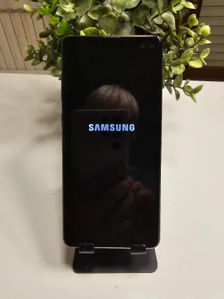 Samsung Galaxy S10+